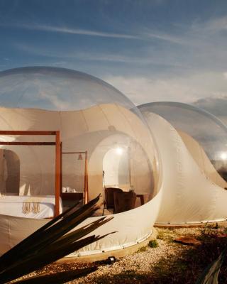 Green Land Bubble Glamping