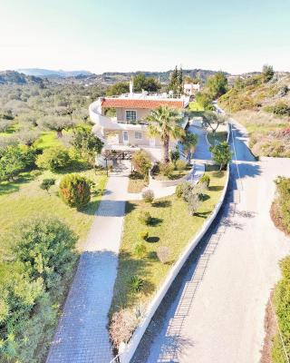 Villa Olive Grove