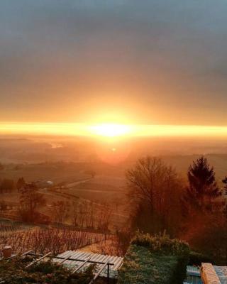 Vue panoramique sur le vignoble