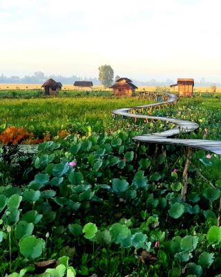 Việt Mekong Farmstay