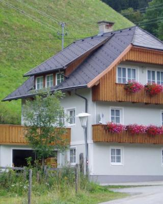 Ferienhaus Leeb