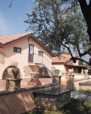 Azienda Vitivinicola Sergio Del Casale