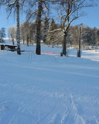 small holiday home at the edge of the forest