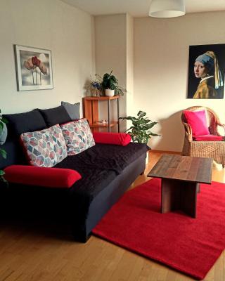 Pforzheim - Wohnung Nähe Hochschule und Klinikum - gerne längerfristig