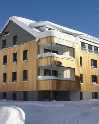 Realp-Andermatt 3,5 locali al centro delle piste di sci di fondo con giardino privato Piste da sci Andermatt raggiungibili direttamente prendendo il treno davanti a casa