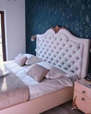 Transylvania Mountain View CDI