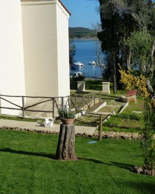 I Fiori nel golfo di Baratti