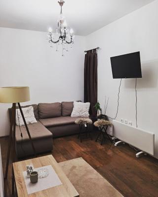 Apartman Stosic Kopaonik