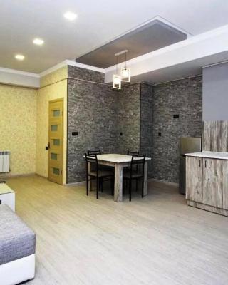 Studio Apartment in Yerevan and Tours in Armenia