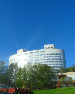 Shin Furano Prince Hotel