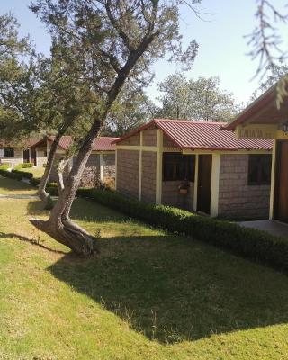 Casa Manning y Salón la Troje