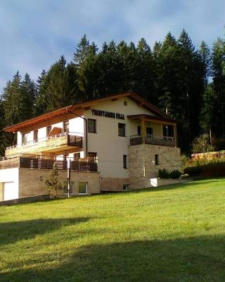 Transylvania Villa & Spa