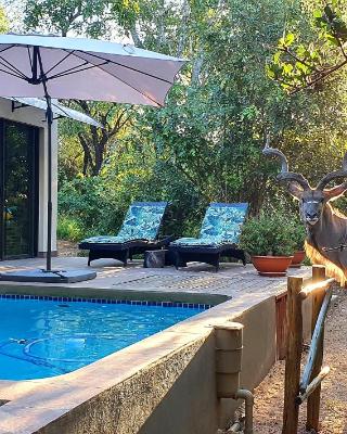 Loerie Escape - Marloth Park