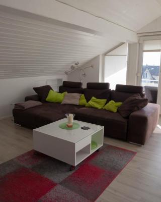Ferienwohnung in Süddeutschland (D-CH-F)