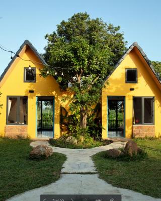 Bavi Annam Garden