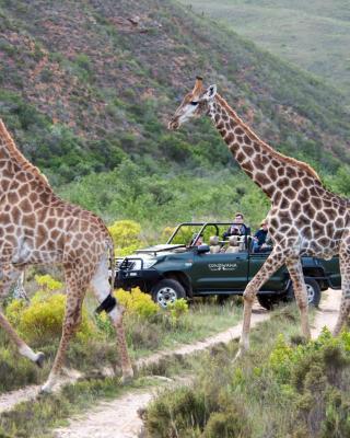 Gondwana Game Reserve