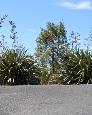 2 Views at Tasman