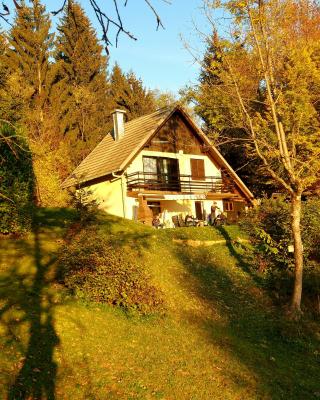 Alpinejka House