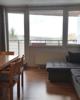 Ferienwohnung mit extra Schlafzimmer und Blick in den Bayrischen Wald oberhalb von Sankt Engelmar