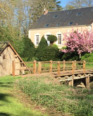 Domaine du moulin de la plaine - L'île Ô Reflets
