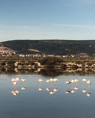 FLAMANTS ROSES 1 pers 6