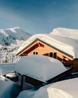 Heidi Chalets Falkert Heidialm - Chalets Bergwinter