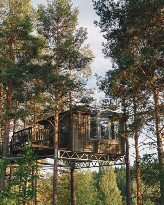 Granö Beckasin