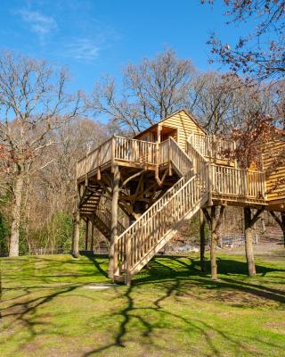 Oakside Tree Tops