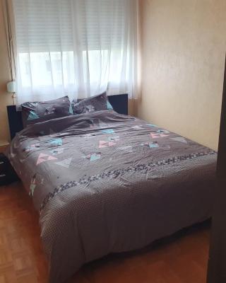 Dans grand appart de 113m2 proche Paris