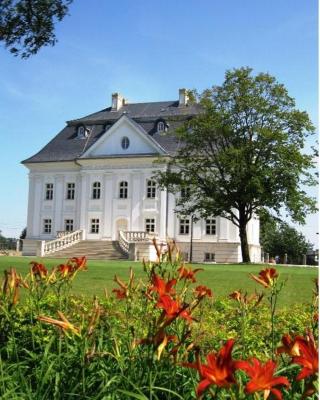 Hotel Pałac Borynia