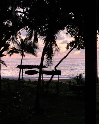 Life for Life Hostel Drake Bay Home of Sea Turtle Marine Conservation Project Osa Peninsula near San Josecito Beach