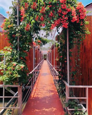 Cato Homestay