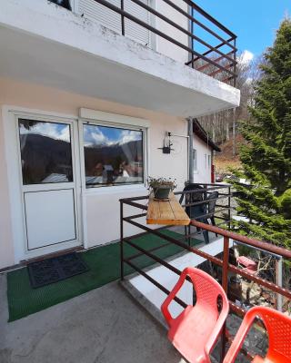 Apartamente Casa Cristina in Pensiune la 400m de Pârtia de ski