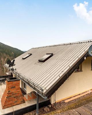 Chalet in Thuringian Forest Ski Tours