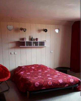 Chambre spacieuse et lumineuse