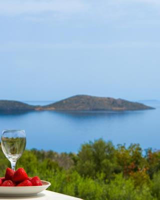 Elounda Anemelia Apartments