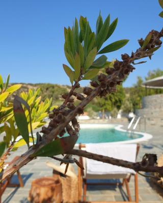 Anassa Cycladic Village