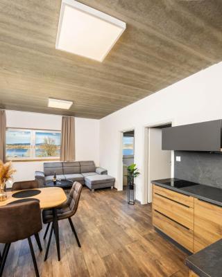 Apartmány Panelka Costa Plana Lipno