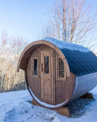 Chalet Pierre Blanche