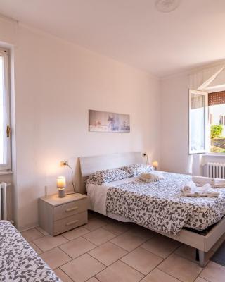 B&B Belvedere