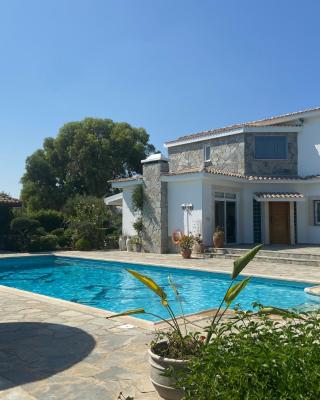 Villa in Ayia Napa with a pool!