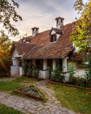 Count Kálnoky's Transylvanian Guesthouses