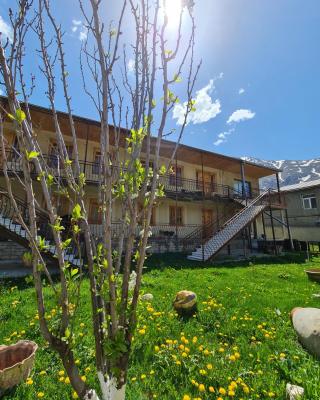 Sunny Mountain House