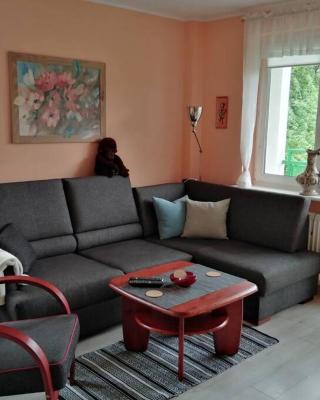 Apartament Arkoński