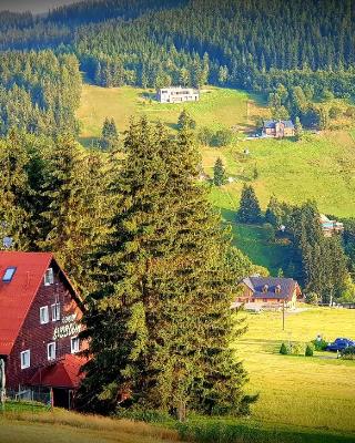 Pension Svoboda