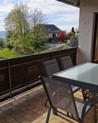 W45 Dornbirn Hills