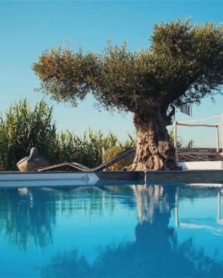 Villa de luxe avec piscine, vue imprenable