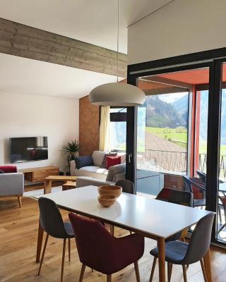 3,5 Zimmer Dachwohnung: Modern, komfortabel, zentral, mit Bergsicht