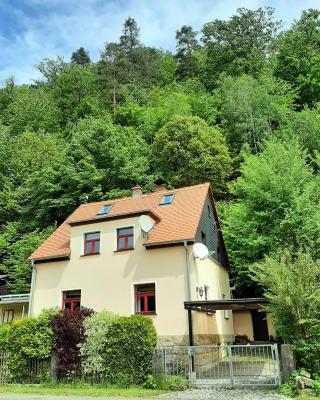 Ferienhaus Jahrhundertreisen