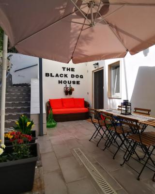 The black dog house